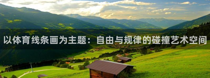 尊龙官网下载平台注册要钱吗安全吗：以体育线条画为主题