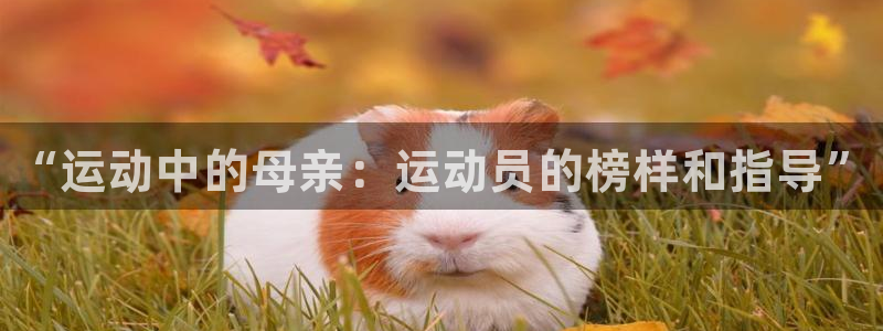 德国尊龙官方正版app集团：“运动中的母亲：运动员的