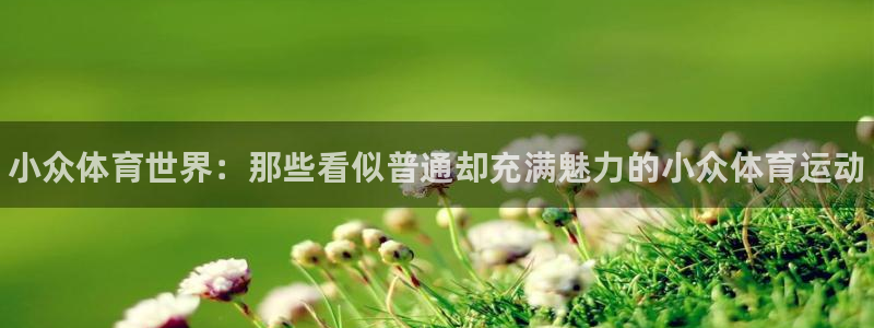 尊龙官网下载娱乐：小众体育世界：那些看似普通却充满魅