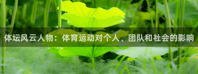 尊龙官方正版app集团logo：体坛风云人物：体育运