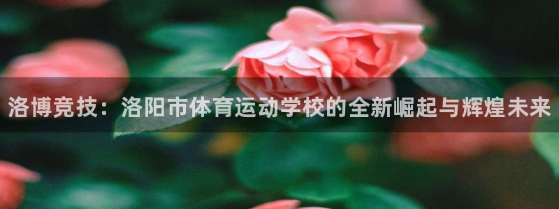 尊龙官方正版app娱乐40996：洛博竞技：洛阳市体