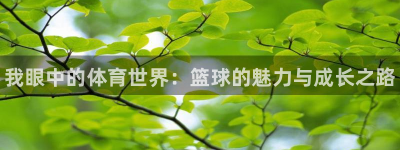 尊龙官网下载招商电话号码查询是多少：我眼中的体育世界