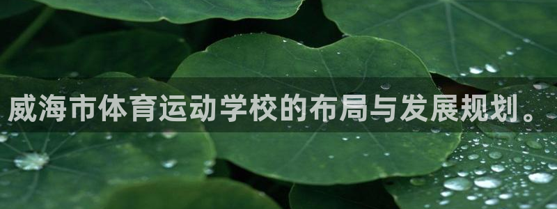 尊龙官方平台体育：威海市体育运动学校的布局与发展规划。