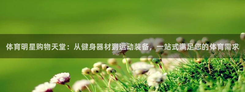 尊龙官网下载招商电话是多少：体育明星购物天堂：从健身