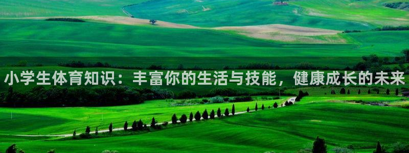 尊龙官网下载软件：小学生体育知识：丰富你的生活与技能，健康成