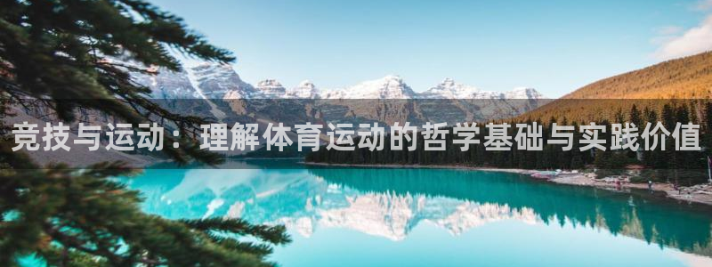 尊龙官网下载平台注册：竞技与运动：理解体育运动的哲学