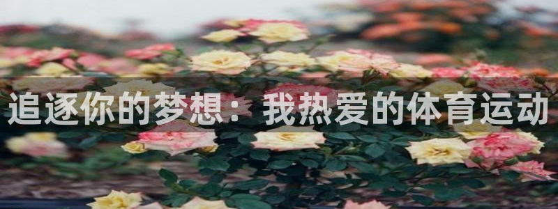 尊龙官方正版app娱乐代理怎么样：追逐你的梦想：我热爱的体育