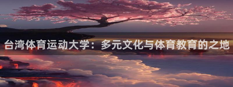 尊龙官网下载平台注册要钱吗安全吗：台湾体育运动大学：多元文化