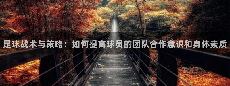 尊龙官网下载招商电话号码：足球战术与策略：如何提高球