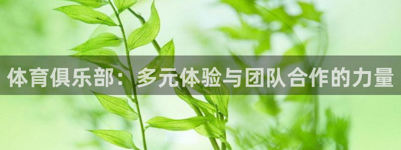 尊龙官网下载招商电话号码：体育俱乐部：多元体验与团队