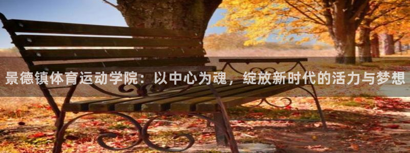 尊龙官方正版app集团简介：景德镇体育运动学院：以中