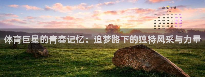 尊龙官方正版app集团：体育巨星的青春记忆：追梦路下的独特风