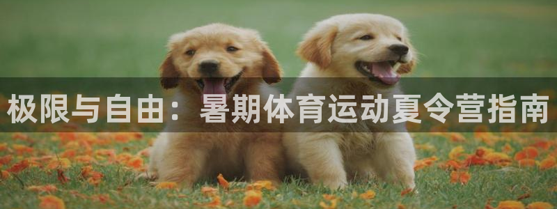 尊龙官方正版app科技：极限与自由：暑期体育运动夏令