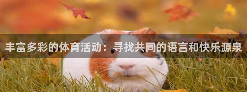 尊龙官网下载平台注册流程图：丰富多彩的体育活动：寻找