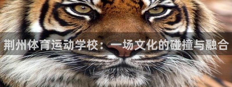 尊龙官网下载平台假的吗是真的吗：荆州体育运动学校：一