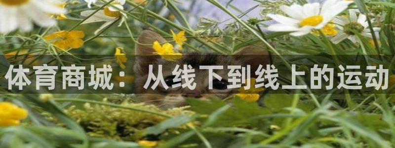 尊龙官网下载平台注册要钱吗：体育商城：从线下到线上的