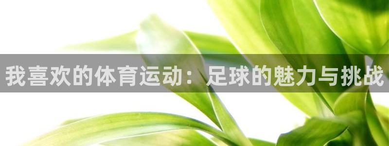 尊龙官方正版app神州
