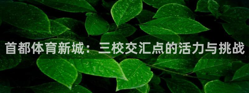 尊龙官网下载招商电话号码：首都体育新城：三校交汇点的活力与挑