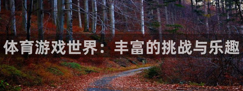 尊龙官方正版app集团官网首页网址：体育游戏世界：丰