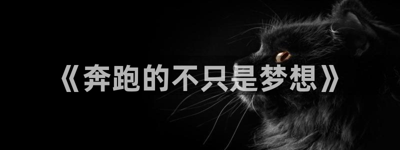 尊龙官方正版app娱乐首页网站大全：《奔跑的不只是梦想》