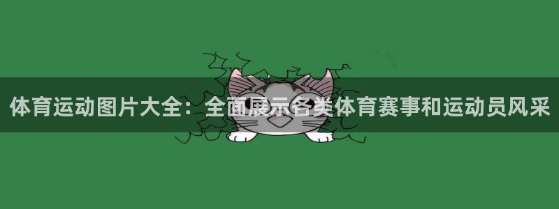 尊龙官方正版app开户：体育运动图片大全：全面展示各类体育赛