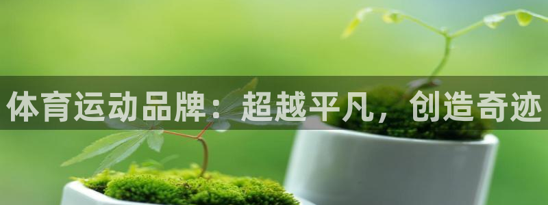 尊龙官方正版app集团E.ON：体育运动品牌：超越平凡，创造