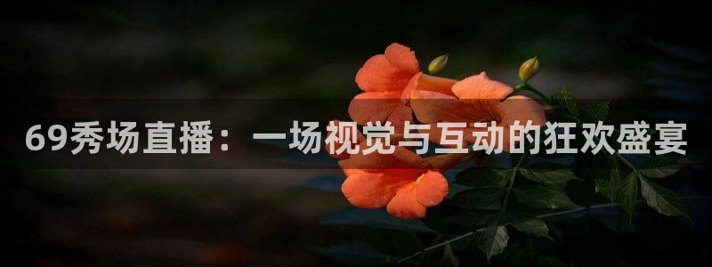 黑白体育nba直播在哪看：69秀场直播：一场视觉与互动的狂欢盛宴