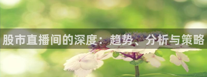 黑白体育直播nba：股市直播间的深度：趋势、分析与策略