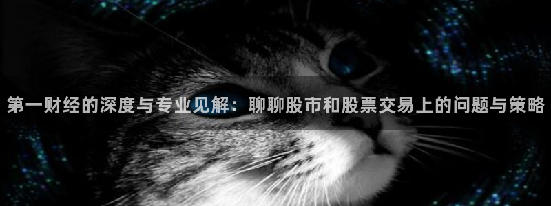 黑白体育比赛在线观看：第一财经的深度与专业见解：聊聊股市和股票交易上的问题与策略