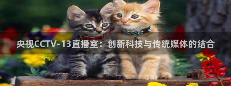 黑白直播下载：央视CCTV-13直播室：创新科技与传统媒体的结合