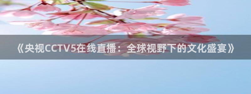 黑白直播足球：《央视CCTV5在线直播：全球视野下的文化盛宴》