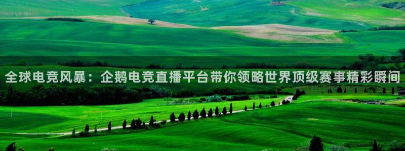 黑白直播nba免费观看下载篮球：全球电竞风暴：企鹅电竞直播平台带你领略世界顶级赛事精彩瞬间