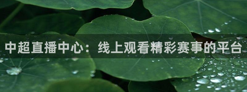 nba在线直播免费观看直播黑白直播：中超直播中心：线上观看精彩赛事的平台