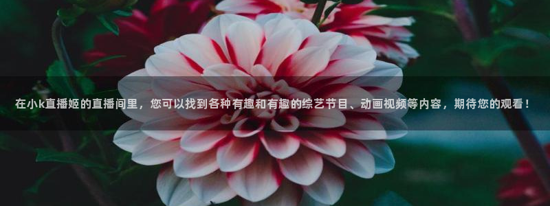 黑白直体育直播：在小k直播姬的直播间里，您可以找到各种有趣和有趣的综艺节目、动画视频等内容，期待您的观看！