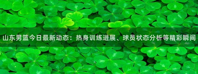 nba黑白直播nba：山东男篮今日最新动态：热身训练进展、球员状态分析等精彩瞬间