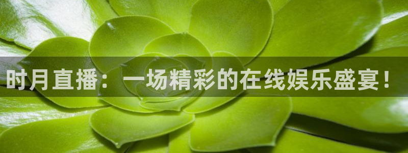 黑白体育直播吧：时月直播：一场精彩的在线娱乐盛宴！